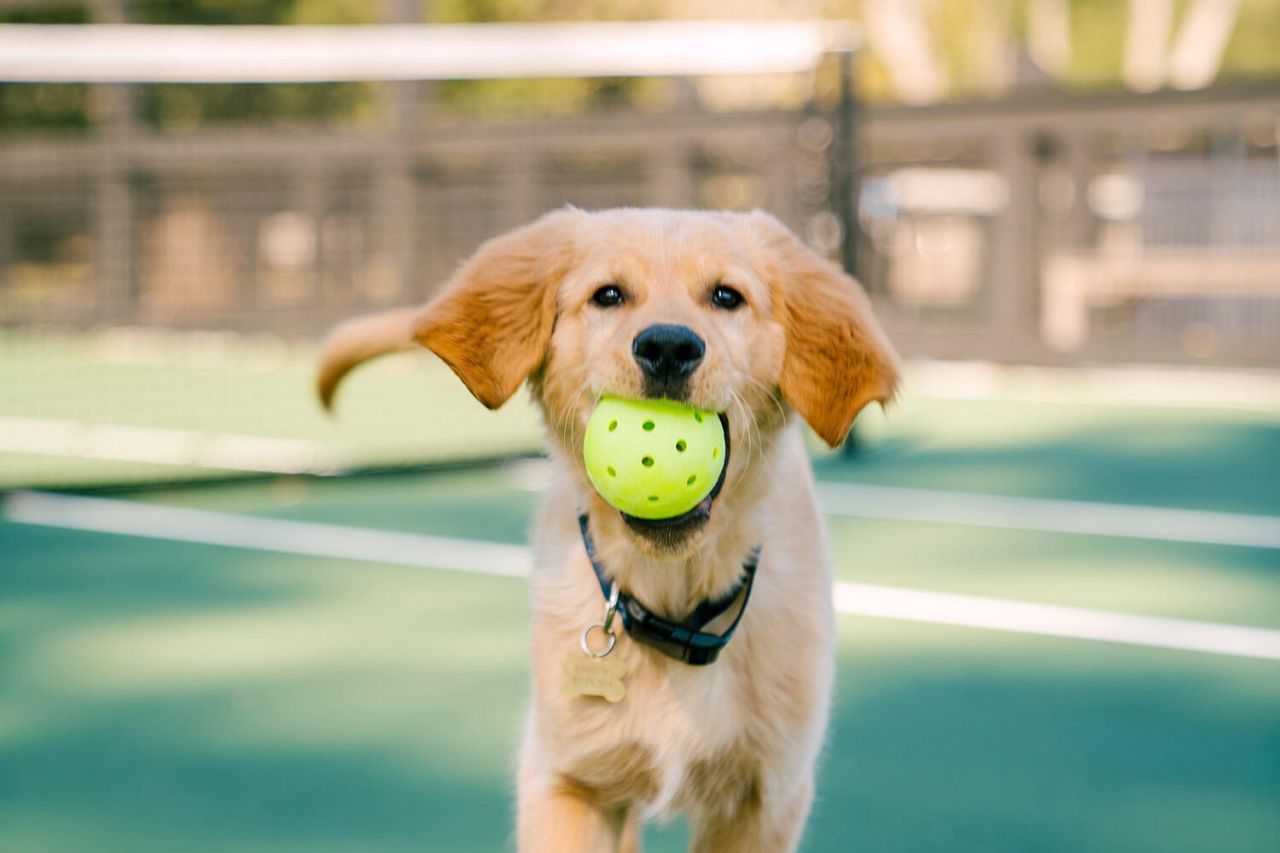 8111 Jack Island Drive Photo 18
