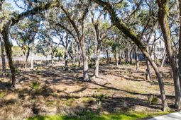 8111 Jack Island Drive photo 4