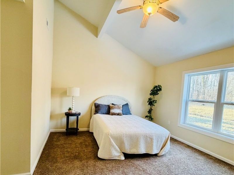 246 W Hamilton Street, Oberlin, OH 44074 Photo 14