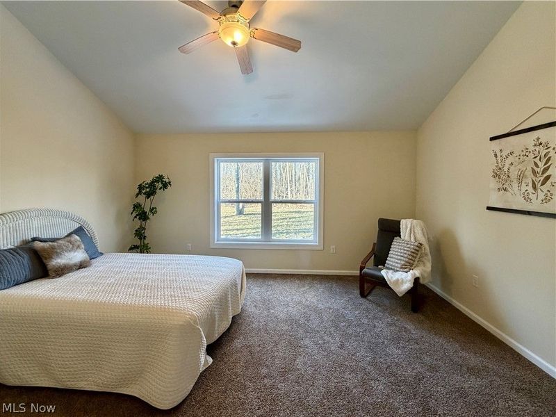 246 W Hamilton Street, Oberlin, OH 44074 Photo 15