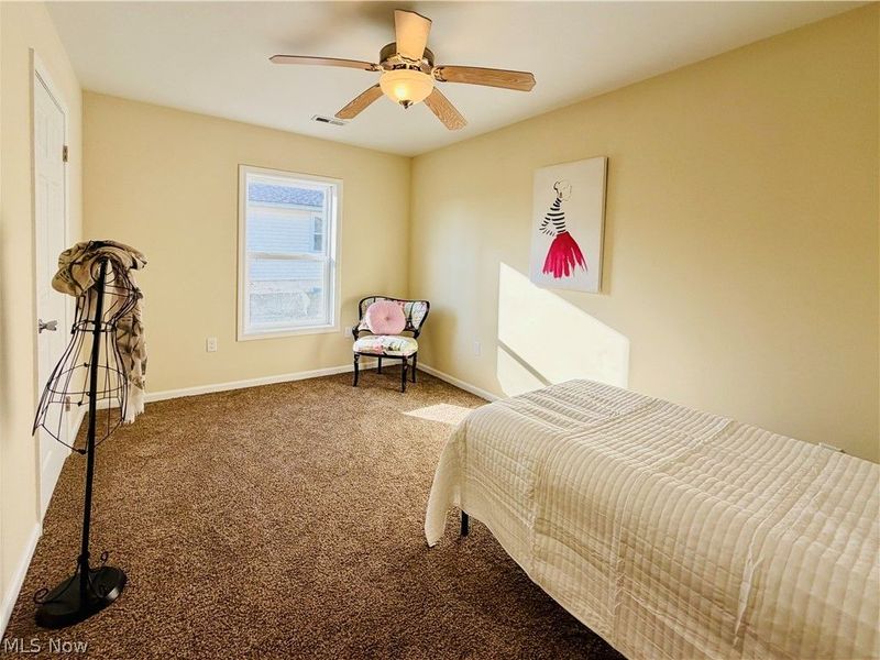 246 W Hamilton Street, Oberlin, OH 44074 Photo 17