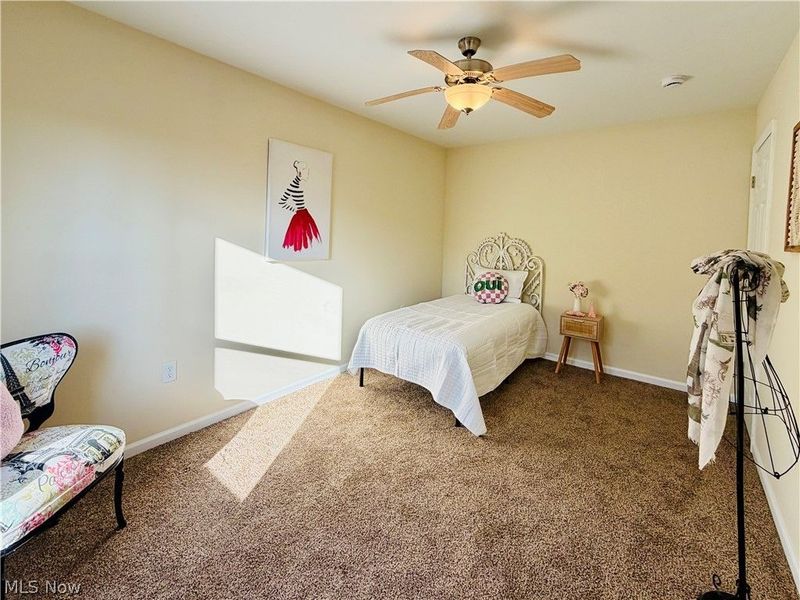 246 W Hamilton Street, Oberlin, OH 44074 Photo 18