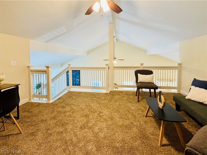 246 W Hamilton Street, Oberlin, OH 44074 Photo 20