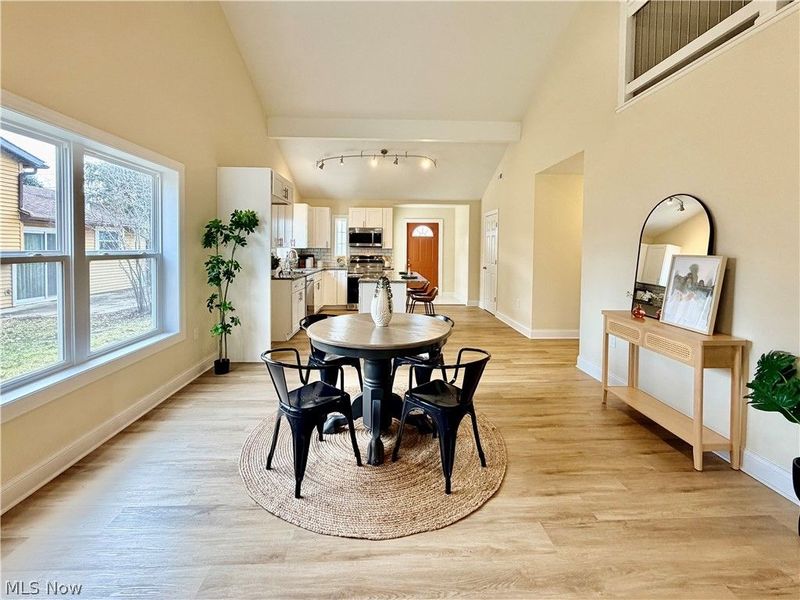 246 W Hamilton Street, Oberlin, OH 44074 Photo 7