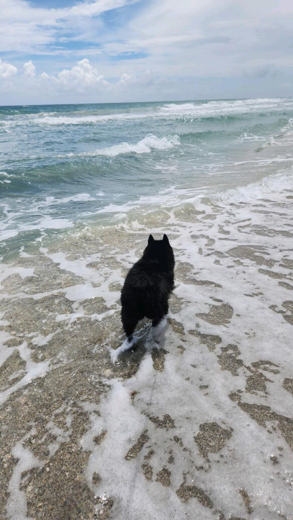 1472 Via Cameron, Jupiter, FL 33477 Photo