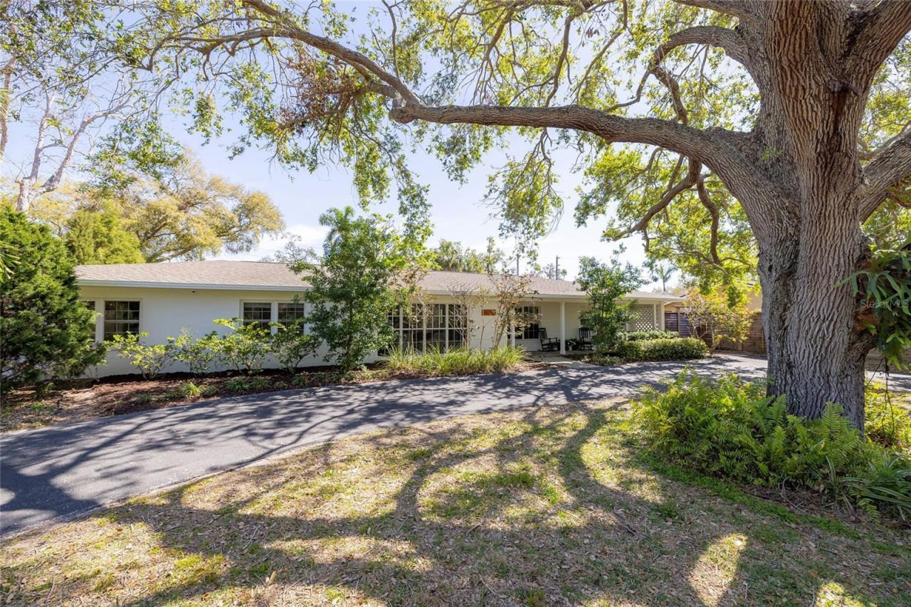 1433 Park Street N, Saint Petersburg, FL 33710 Photo