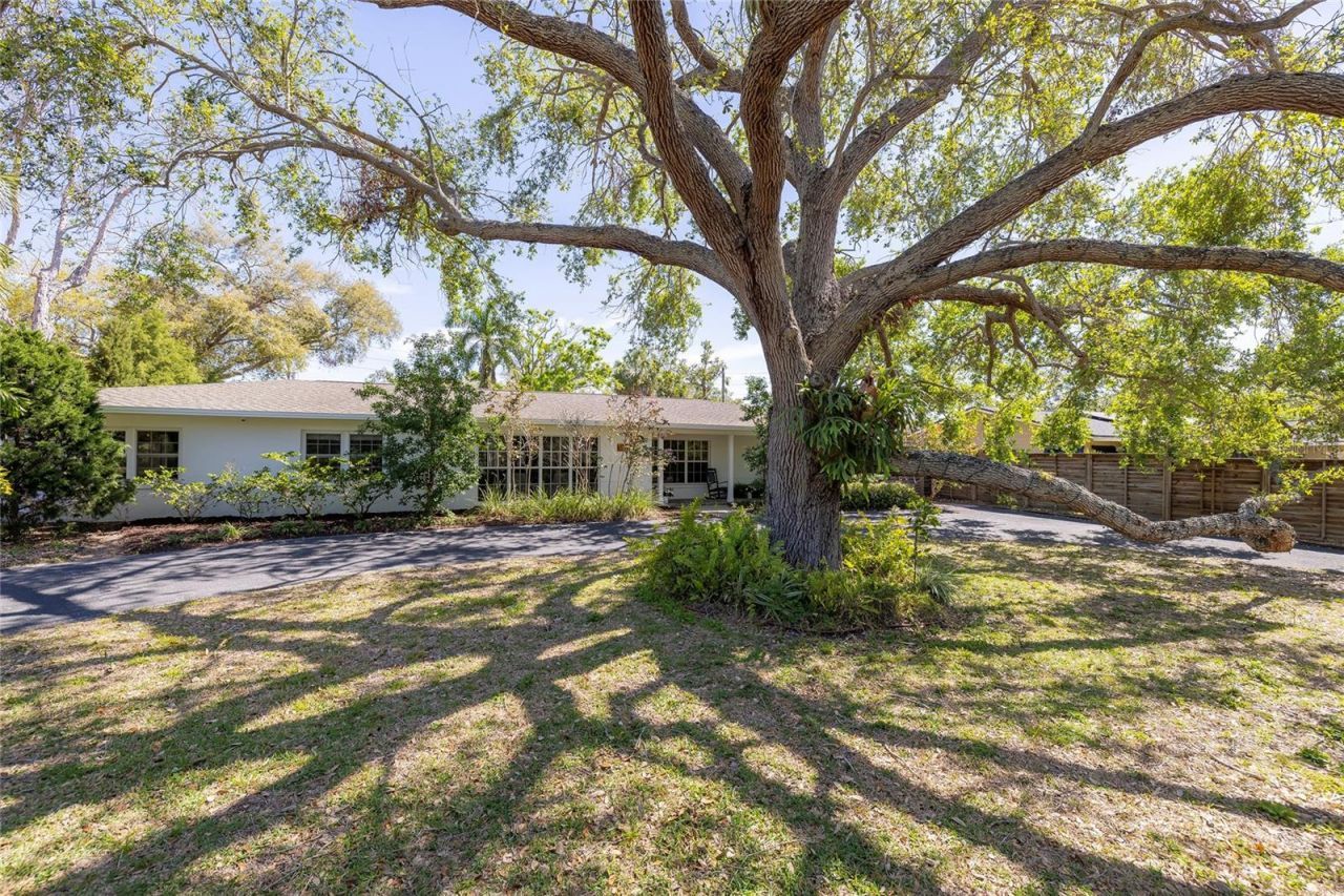 1433 Park Street N, Saint Petersburg, FL 33710 Photo