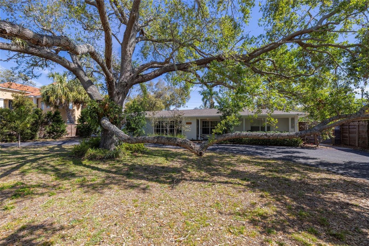 1433 Park Street N, Saint Petersburg, FL 33710 Photo