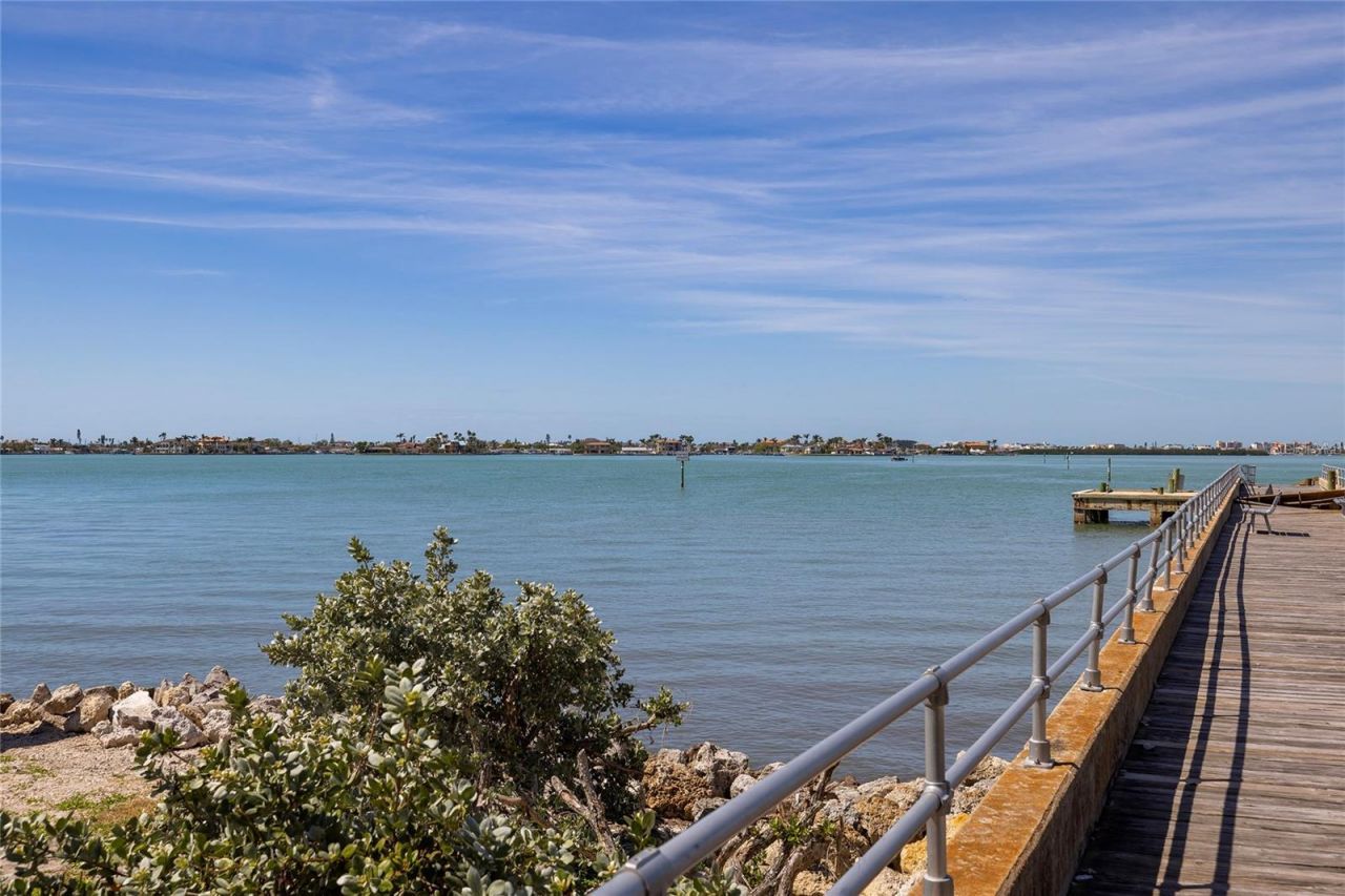 1433 Park Street N, Saint Petersburg, FL 33710 Photo