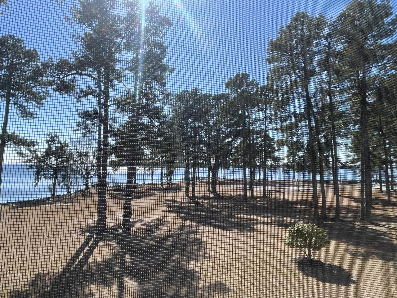 5206 Cypress Pointe Photo 4