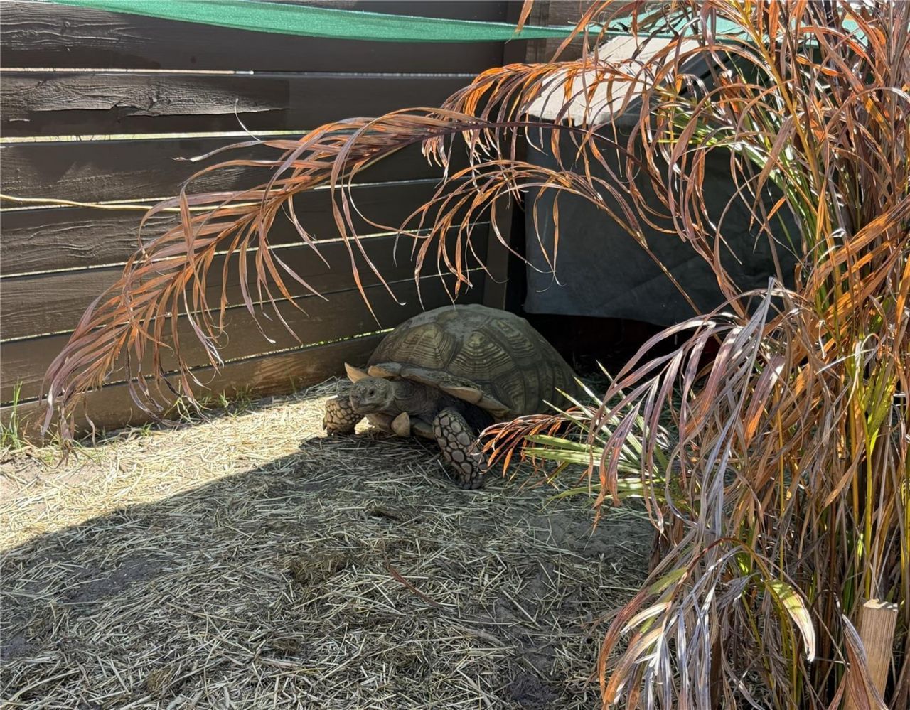 1501 Avalon Boulevard, Casselberry, FL 32707 Photo