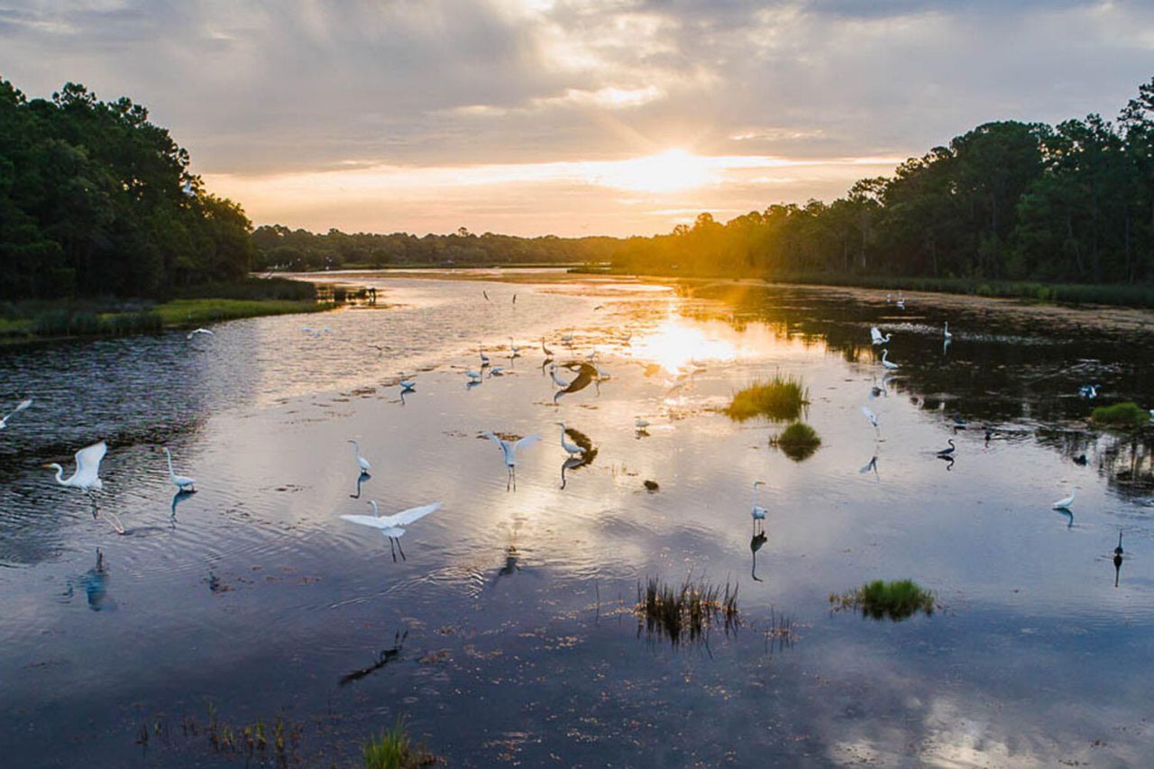 2119 Boatwright Road Photo 33