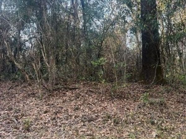 10965 Stephens Road, Chunchula, AL 36521