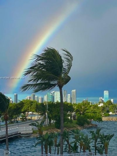 1 Century Ln, Unit 310, Miami Beach, FL 33139 Photo