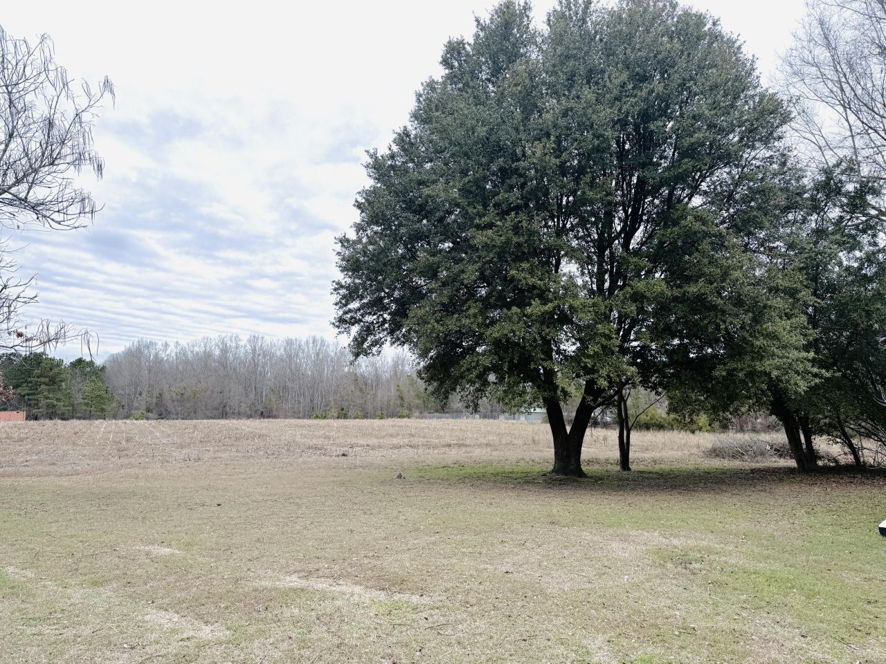 1390 Brantley Avenue Photo 19