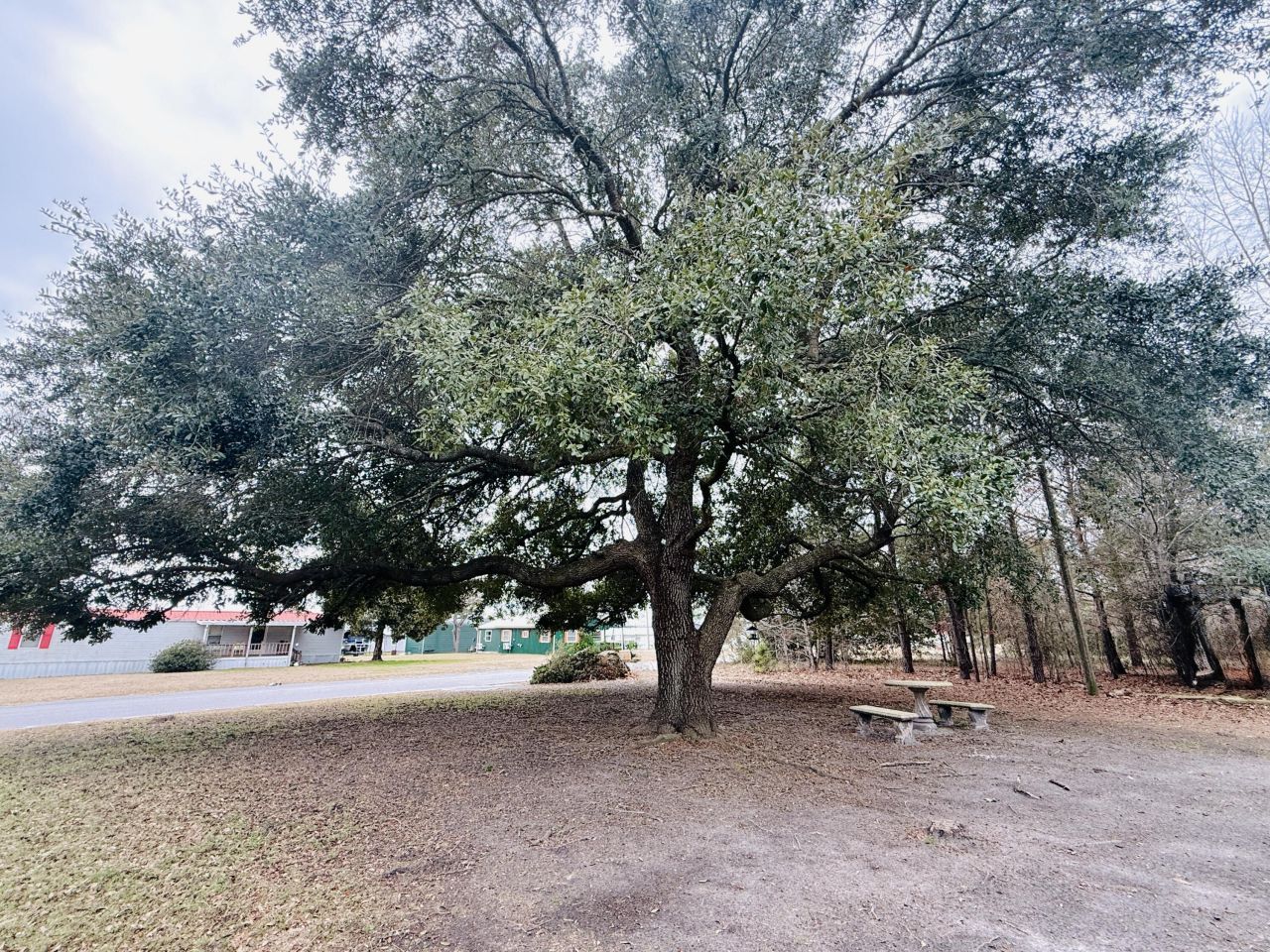 1390 Brantley Avenue Photo 5