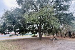 1390 Brantley Avenue photo 4