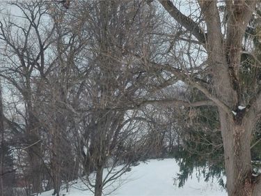 119 Argyle Avenue, Syracuse, NY 13219