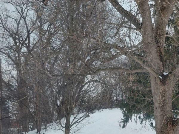 119 Argyle Avenue, Syracuse, NY 13219