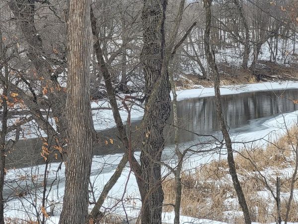 Lot 4 River Pointe Trail , Underwood, MN 56586