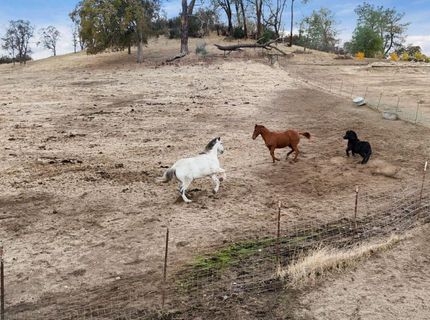 178 Carmel Rd, Burson, CA 95225 Photo