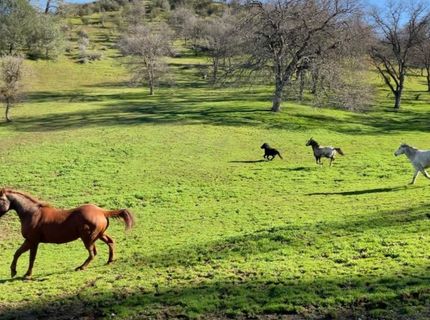 178 Carmel Rd, Burson, CA 95225 Photo