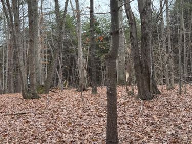 4 Harvest Hills Dr., Concord, VA 24538