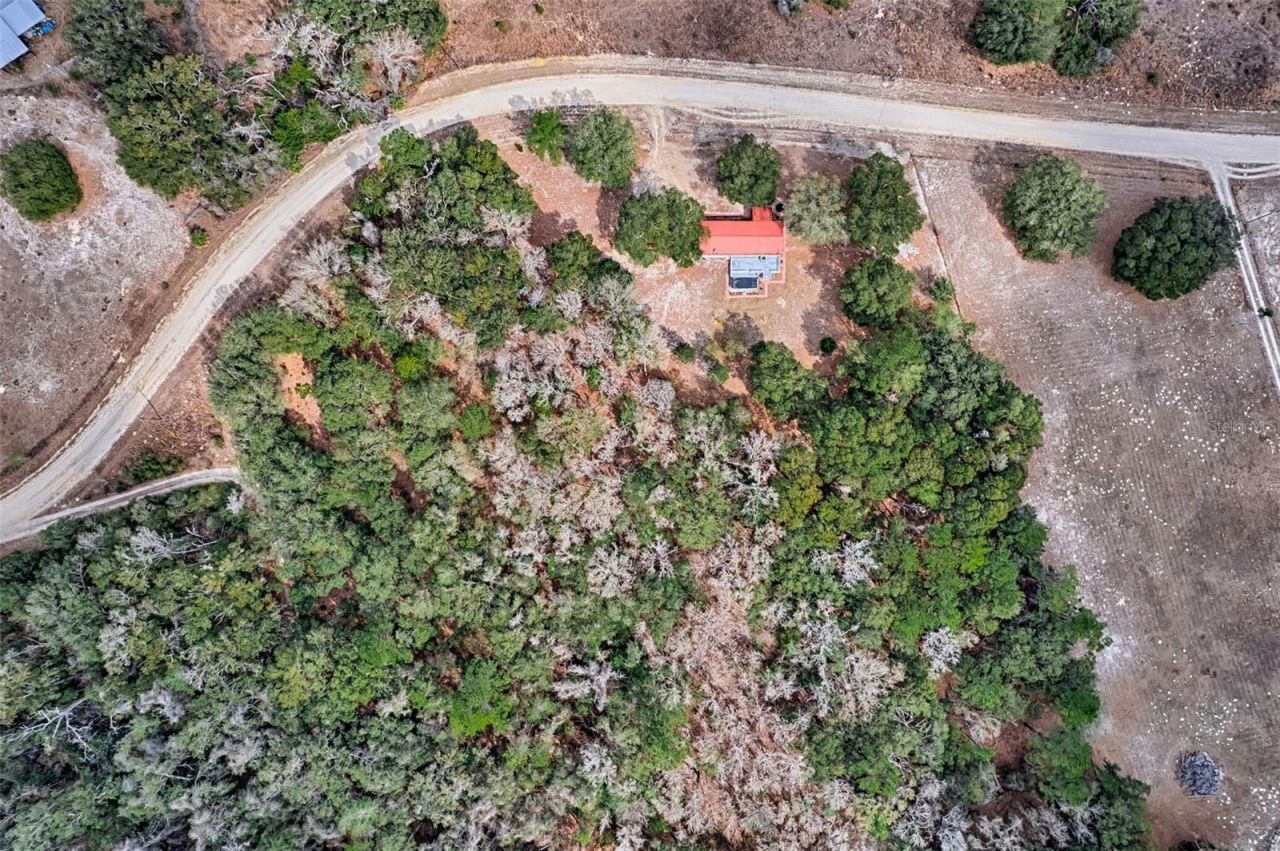 664 NE 748th Avenue , Old Town, FL 32680 Photo