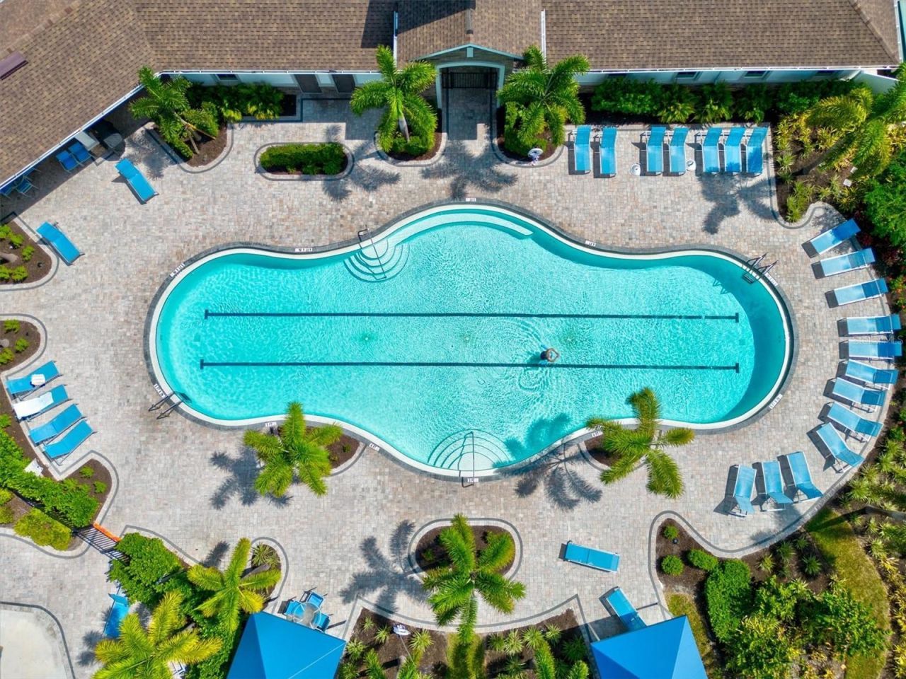 12709 Lateral Root Drive, Sarasota, FL 34238 Photo