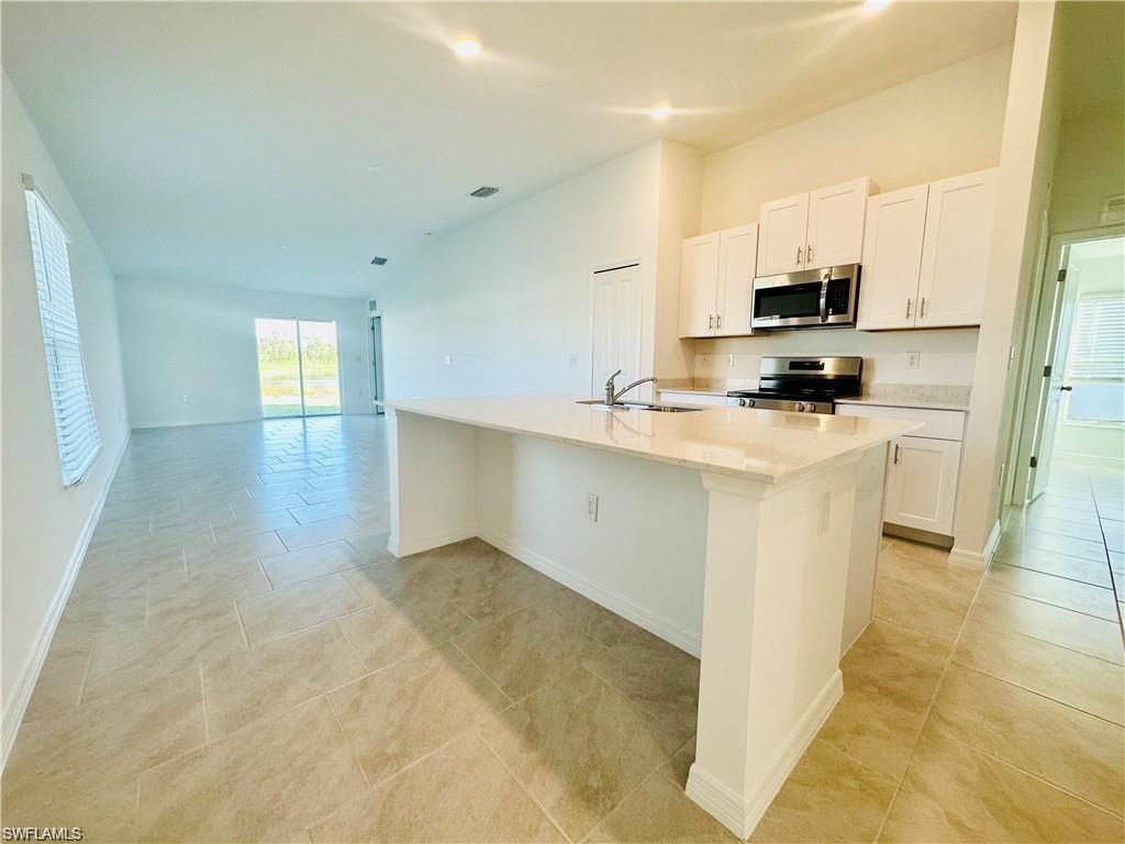 17303 Monte Isola Way, North Fort Myers, FL 33917 Photo