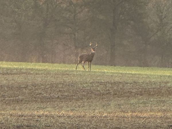 205 Pumpkin Valley Rd , Indian Mound, TN 37079