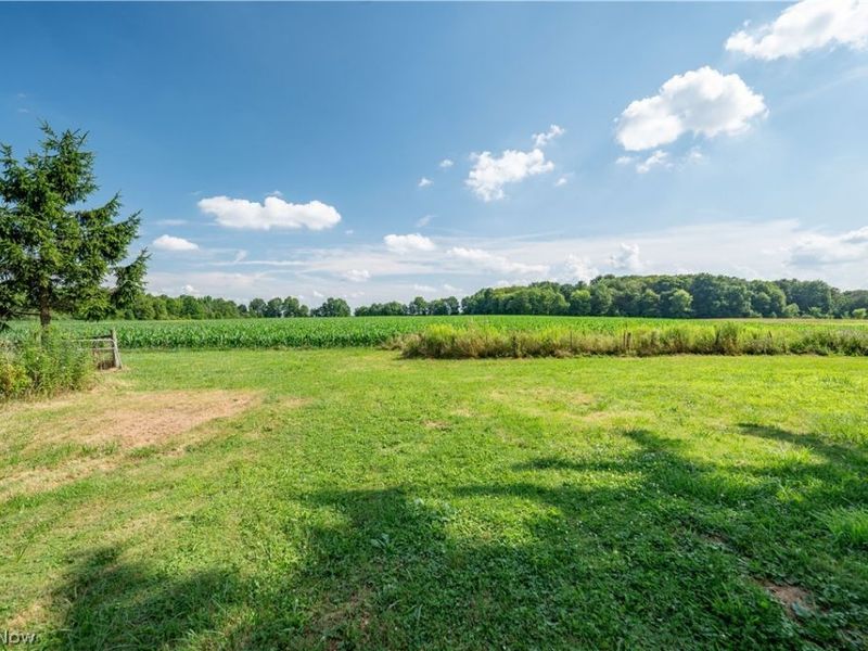 3555 W South Range Road, Columbiana, OH 44408 Photo 43