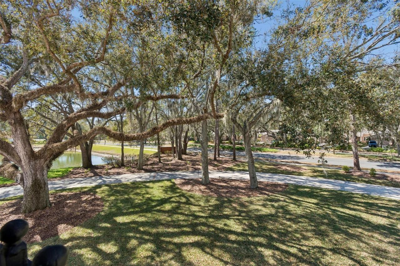 5212 Golf Links Boulevard, Zephyrhills, FL 33541 Photo