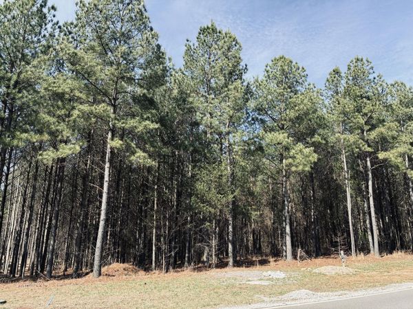 3290 Crockett Point, Jasper, TN 37347