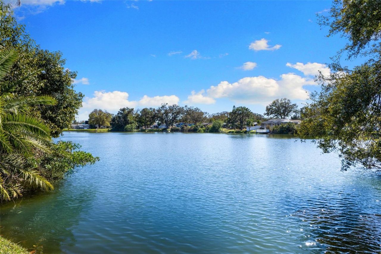 10274 Blossom Trail, Seminole, FL 33772 Photo