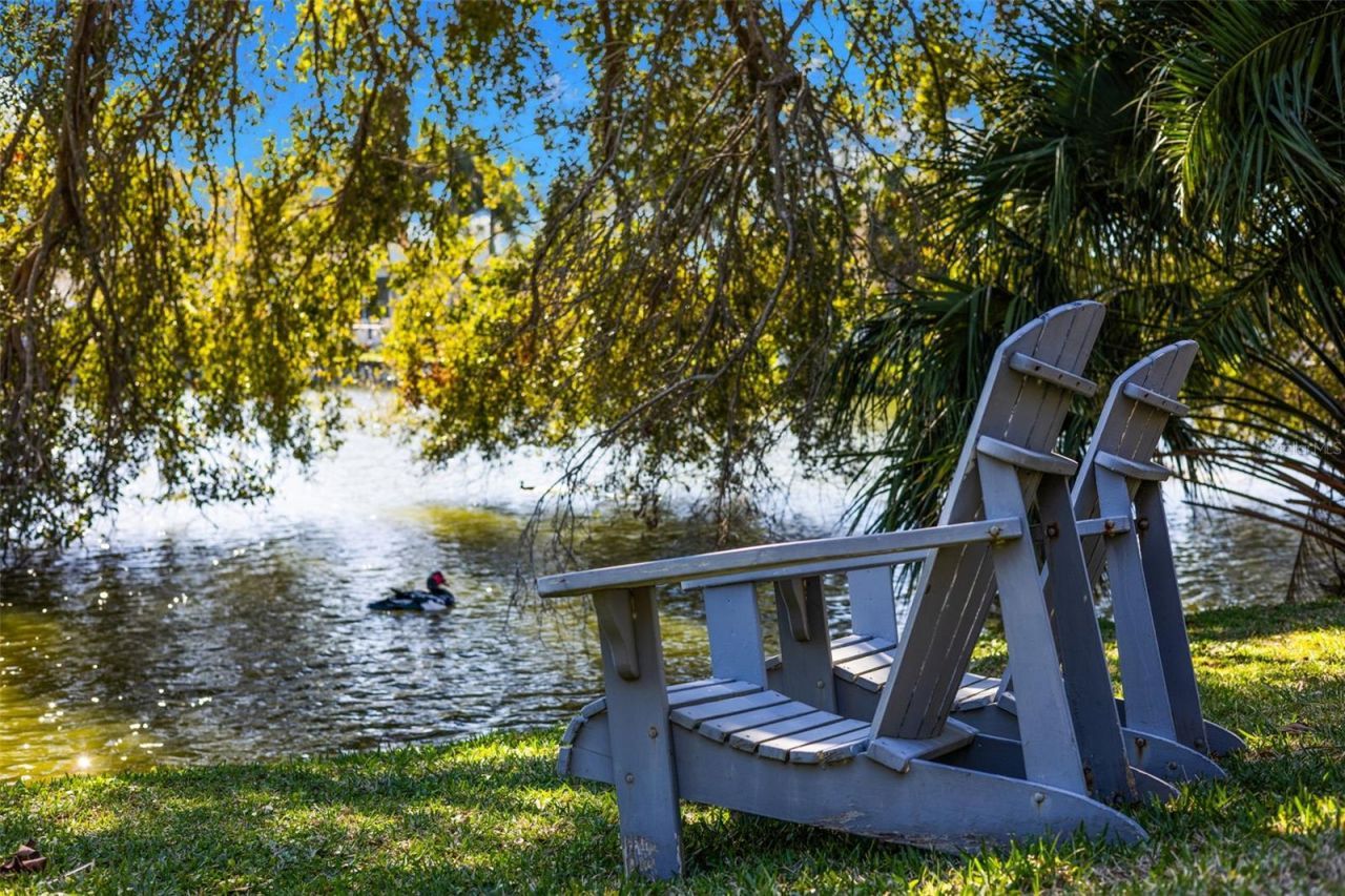 10274 Blossom Trail, Seminole, FL 33772 Photo