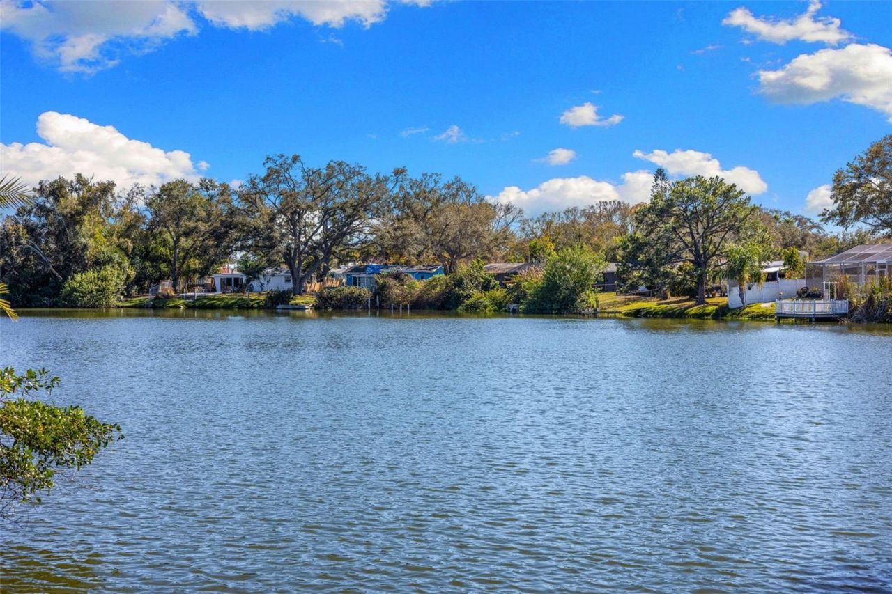 10274 Blossom Trail, Seminole, FL 33772 Photo