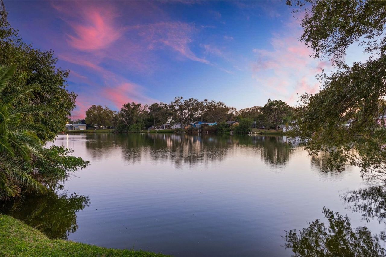 10274 Blossom Trail, Seminole, FL 33772 Photo