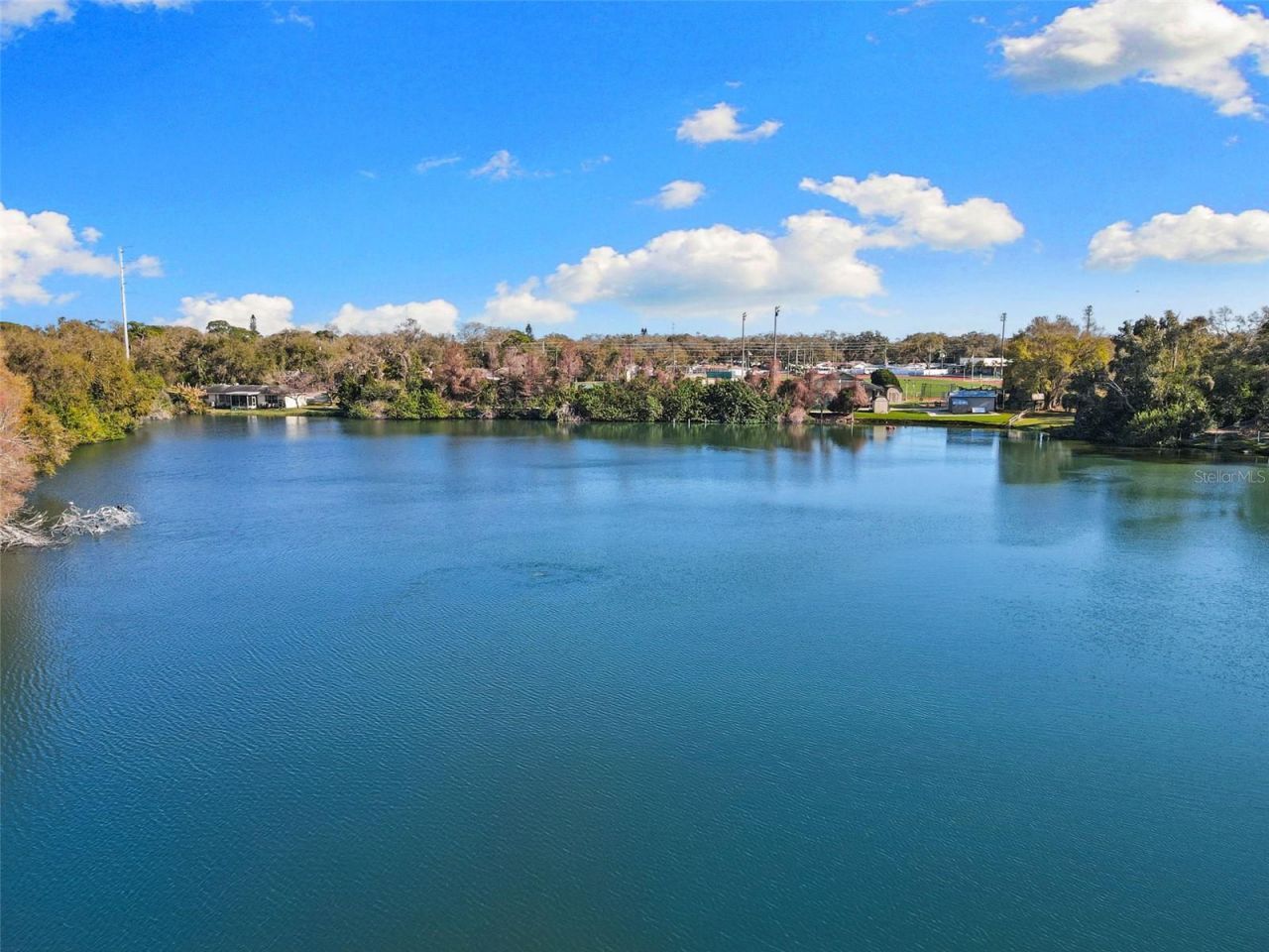 10274 Blossom Trail, Seminole, FL 33772 Photo