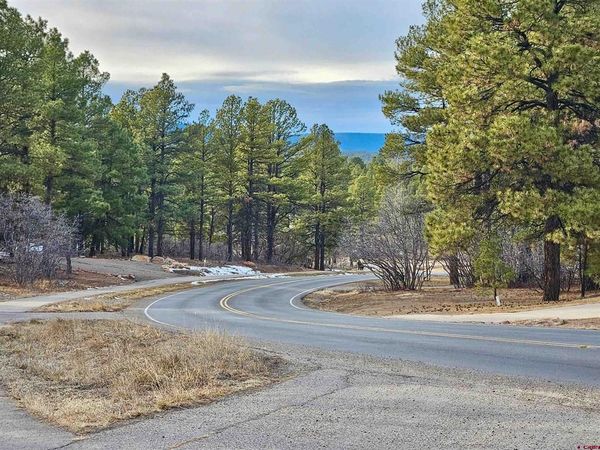 458 Antelope Avenue, Pagosa Springs, CO 81147