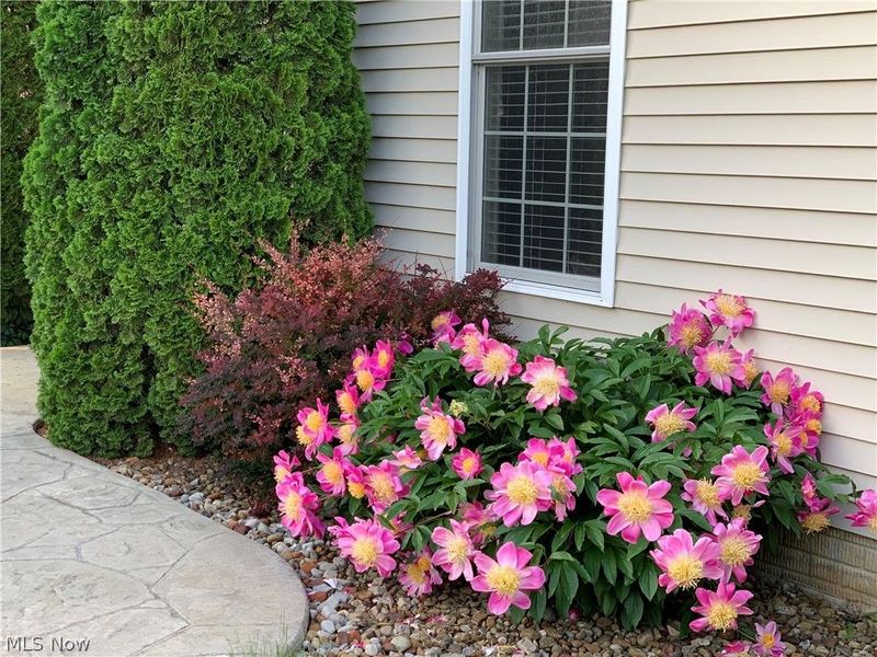 2015 Osage Trail, Wadsworth, OH 44281 Photo 46