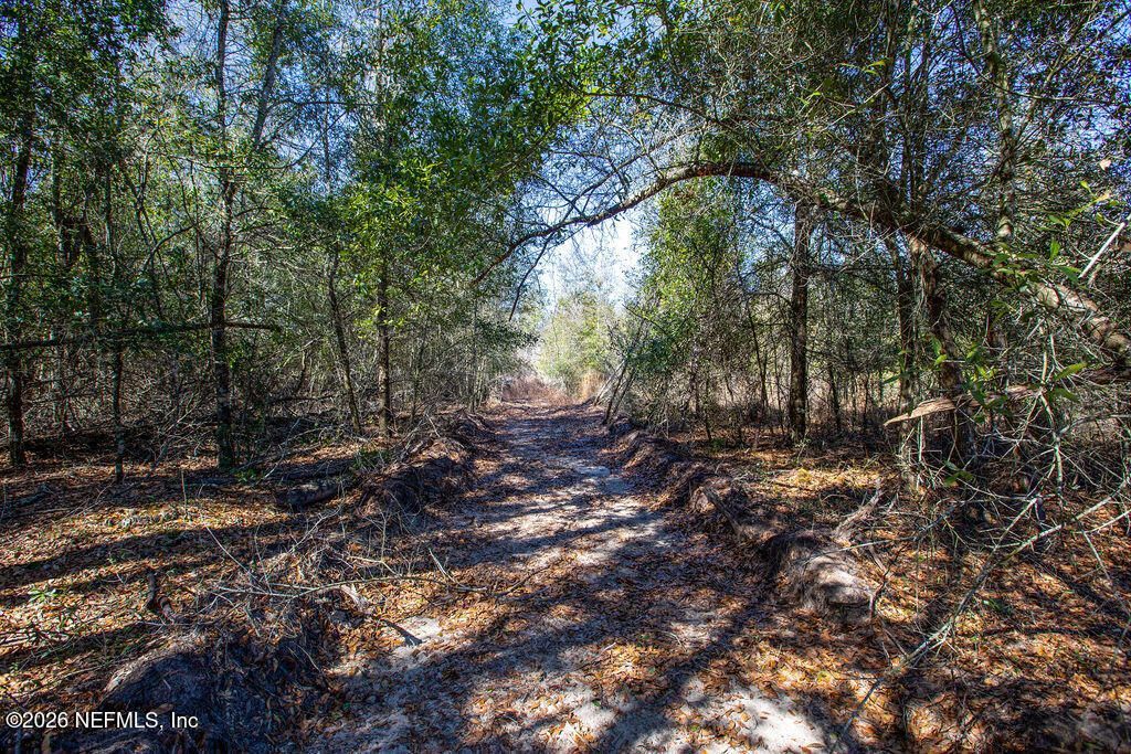 0 221st Pl Lot 2 Street S, Live Oak, FL 32060 Main Photo