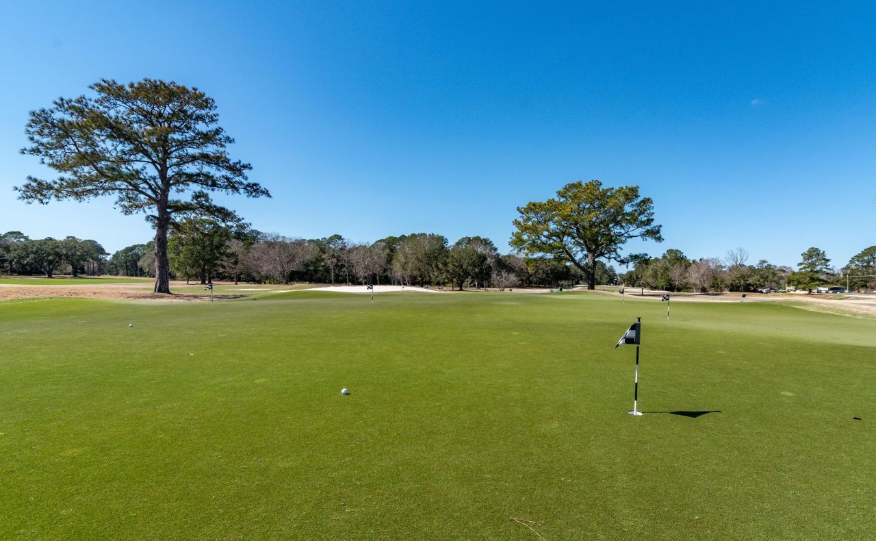 1198 Ambling Way Photo 37