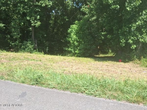 Lot 39 Idlewild Drive, White Pine, TN 37890