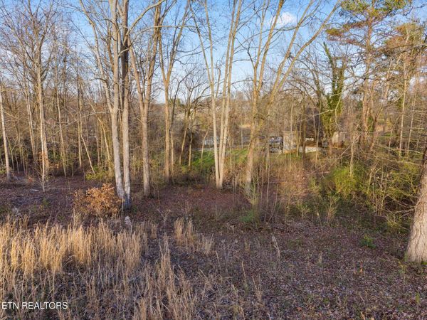 Lot 39 Idlewild Drive, White Pine, TN 37890