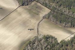 1901 Grainger Rd.  photo 4