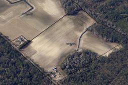 1901 Grainger Rd.  photo 4