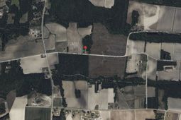 1901 Grainger Rd.  photo 4