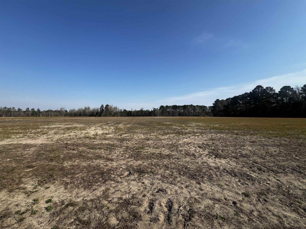 1901 Grainger Rd.  Photo 6