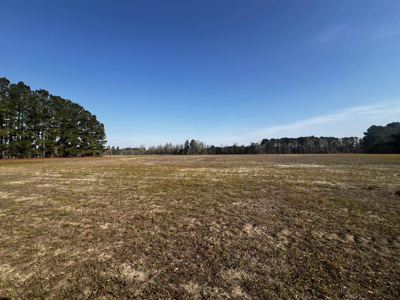 1901 Grainger Rd.  Photo 7